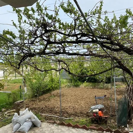 Bedir Village *