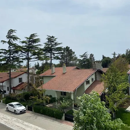 Bedir Village